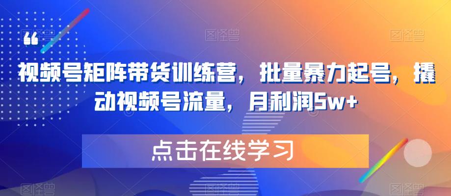 视频号矩阵带货训练营，批量暴力起号，撬动视频号流量，月利润5w+-佛系网创