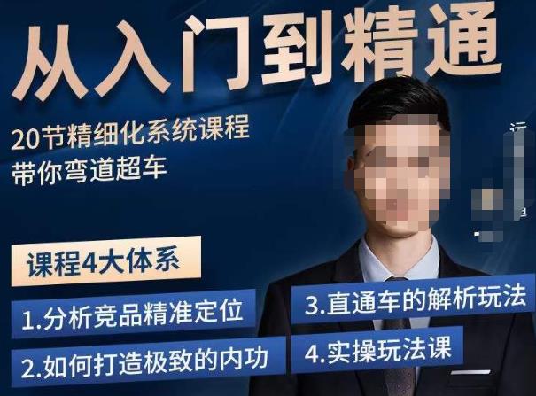 龙一·从入门到精通拼多多运营系列课，0-100的运营实操技巧，精细化系列课程带你弯道超车-佛系网创