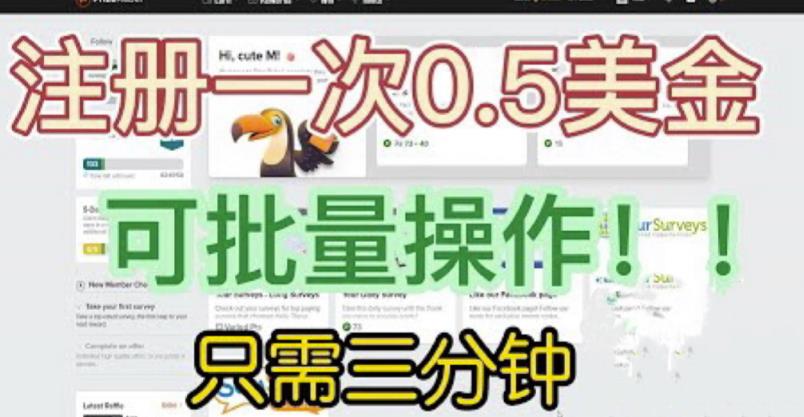 国外项目注册一次0.5美金，只需三分钟无脑操作，可批量同时放大操作，小白工作室福利【揭秘】-佛系网创