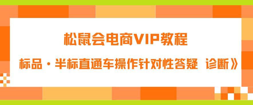 松鼠会电商VIP教程：松鼠《付费推广标品·半标直通车操作针对性答疑&诊断》-佛系网创