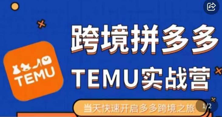 大鹏出海·拼多多跨境temu运营指导，开店注册+选品+核价上架，日出千单实战课-佛系网创