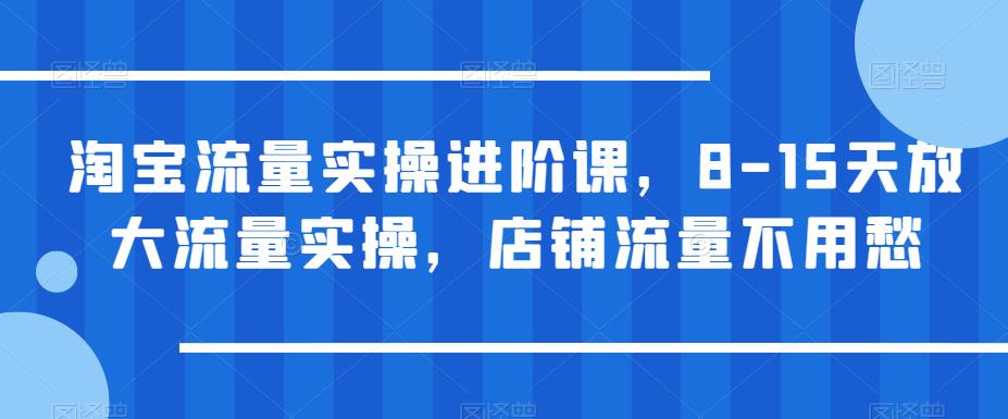 淘宝流量实操进阶课，8-15天放大流量实操，店铺流量不用愁-佛系网创