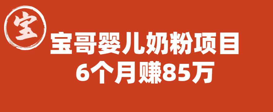 宝哥婴儿奶粉项目，6个月赚85w【图文非视频】【揭秘】-佛系网创