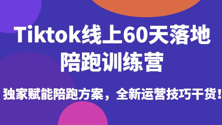 Tiktok线上60天落地陪跑训练营，独家赋能陪跑方案，全新运营技巧干货-佛系网创