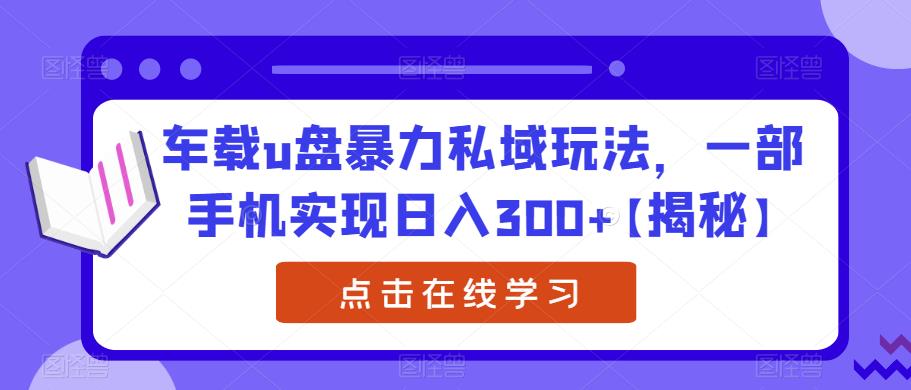 车载u盘暴力私域玩法，一部手机实现日入300+【揭秘】-佛系网创