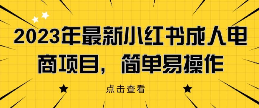 2023年最新小红书成人电商项目，简单易操作【详细教程】【揭秘】-佛系网创