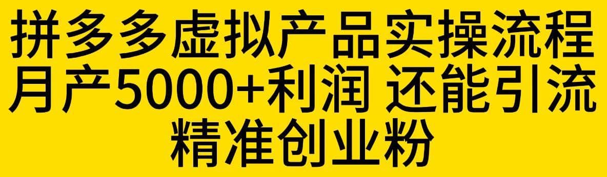 拼多多虚拟产品实操流程，月产5000+利润，还能引流精准创业粉【揭秘】-佛系网创