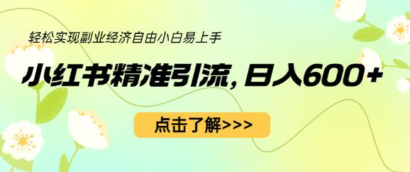 小红书精准引流，小白日入600+，轻松实现副业经济自由（教程+1153G资源）-佛系网创