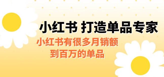 某公众号付费文章《小红书打造单品专家》小红书有很多月销额到百万的单品-佛系网创