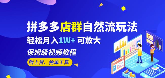 拼多多店群自然流玩法，轻松月入1W+保姆级视频教程（附上货、拍单工具）-佛系网创