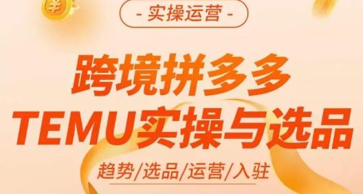 伍跃·跨境拼多多TEMU实操与选品，?趋势/选品/运营/入住（27节完整）-佛系网创