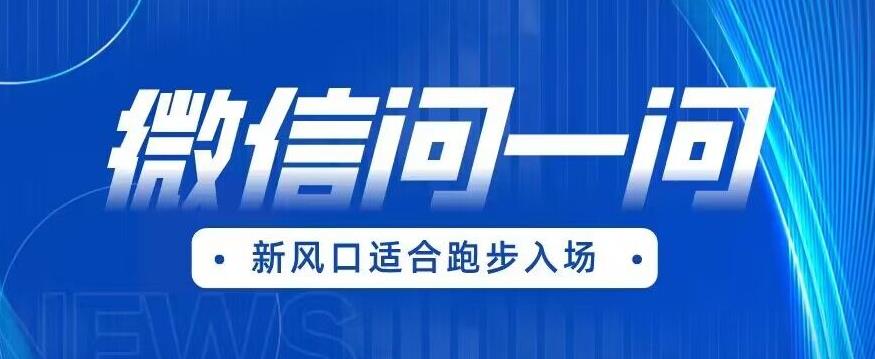 全网首发微信问一问新风口变现项目（价值1999元）【揭秘】-佛系网创