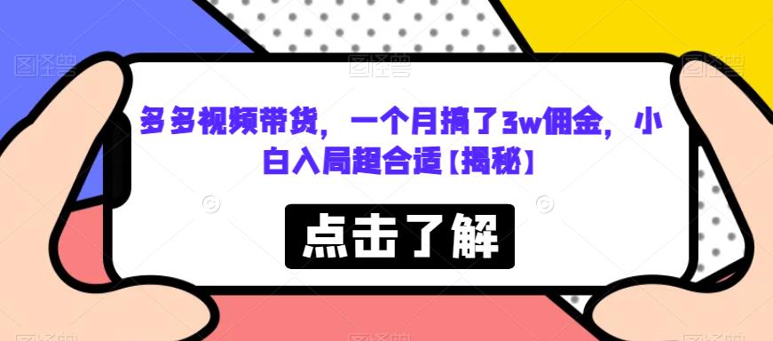多多视频带货，一个月搞了3w佣金，小白入局超合适【揭秘】-佛系网创