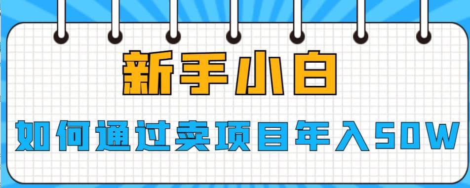 新手小白如何通过卖项目年入50W【揭秘】-佛系网创