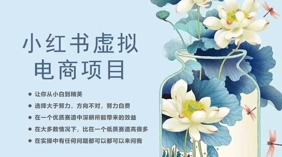 小红书虚拟电商从0到1，让你从小白到精英（20节实操课程）-佛系网创