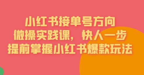 接单号方向·小红书微操实践课，快人一步，提前掌握小红书爆款玩法-佛系网创
