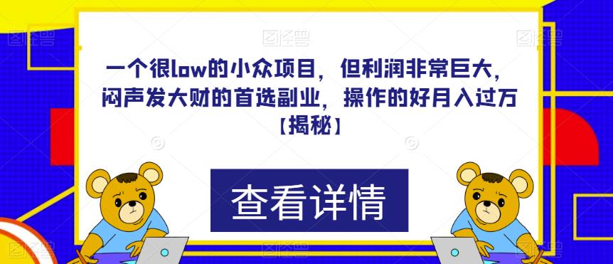 一个很low的小众项目，但利润非常巨大，闷声发大财的首选副业，操作的好月入过万【揭秘】-佛系网创