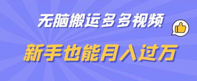 无脑搬运多多视频，新手也能月入过万【揭秘】-佛系网创