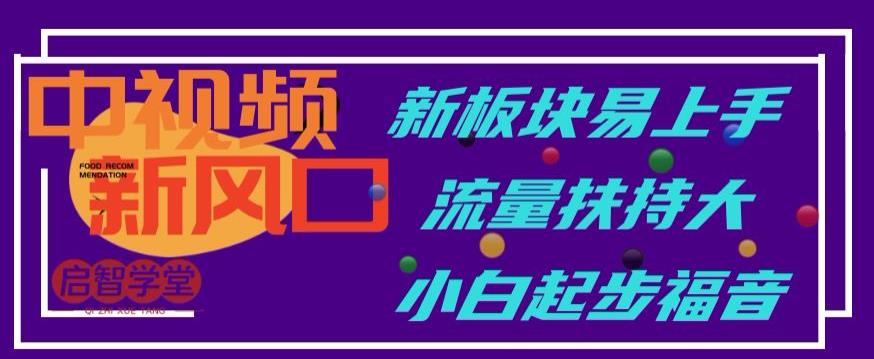 中视频新风口，新板块易上手，流量扶持大，小白起步福音【揭秘】-佛系网创