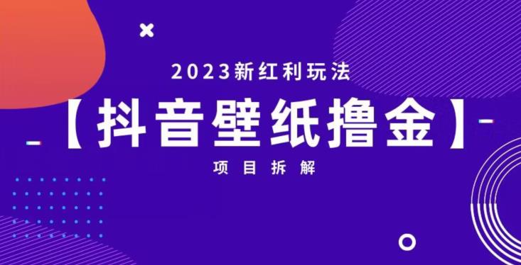 抖音壁纸小程序创作者撸金项目，2023新红利玩法【项目拆解】-佛系网创