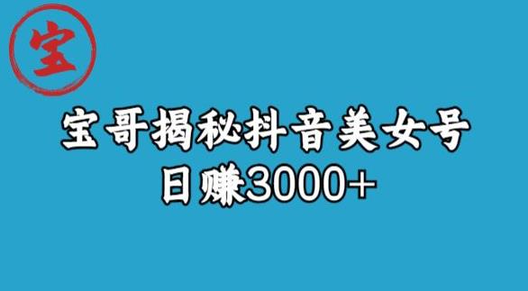 宝哥揭秘抖音美女号玩法，日赚3000+【揭秘】-佛系网创