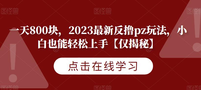 一天800块，2023最新反撸pz玩法，小白也能轻松上手【仅揭秘】-佛系网创