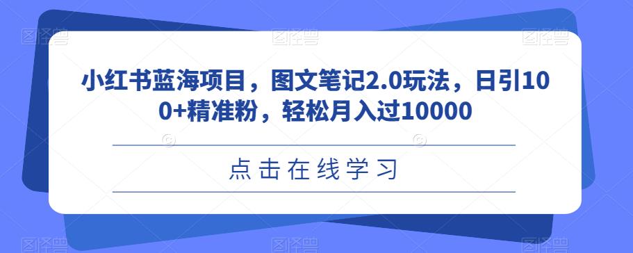 小红书蓝海项目，图文笔记2.0玩法，日引100+精准粉，轻松月入过10000【揭秘】-佛系网创