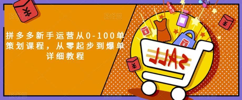 拼多多新手运营从0-100单策划课程，从零起步到爆单详细教程-佛系网创