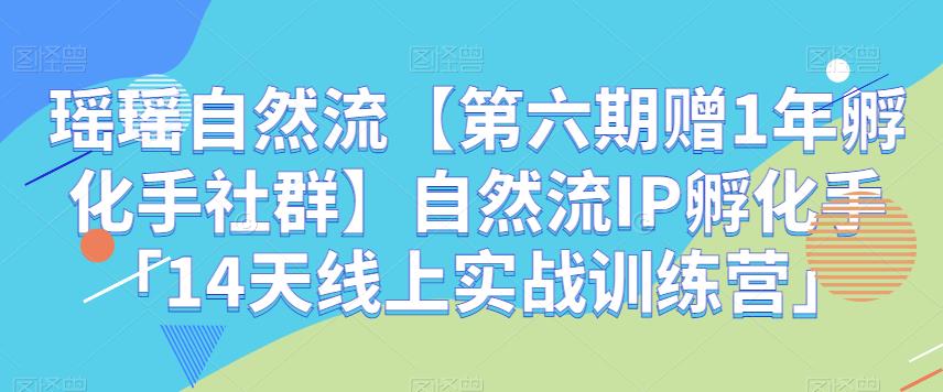 瑶瑶自然流【第六期赠1年孵化手社群】自然流IP孵化手「14天线上实战训练营」-佛系网创