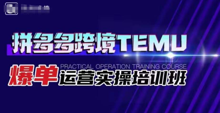 拼多多跨境TEMU爆单运营实操培训班，海外拼多多的选品、运营、爆单-佛系网创