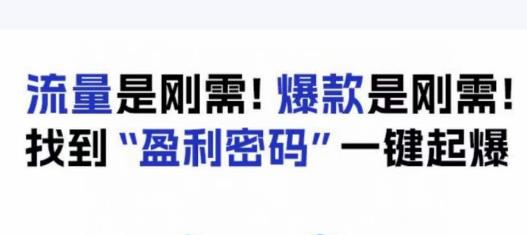 电商盈利精品课：6大盈利密码让产品更好卖，流量是刚需！爆款是刚需！找到”盈利密码”一键起爆-佛系网创