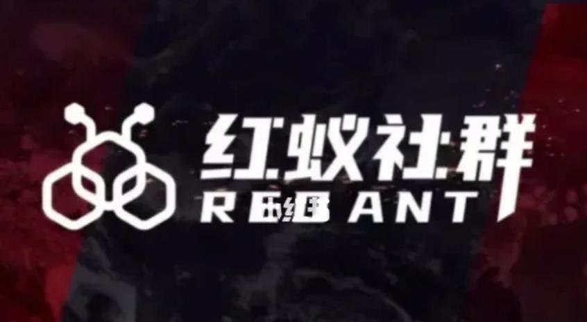社群运营：红蚁社群【48节落地系统课程+2000人高端社群】-佛系网创