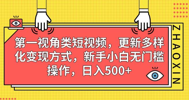 第一视角类短视频，更新多样化变现方式，新手小白无门槛操作，日入500+【揭秘】-佛系网创