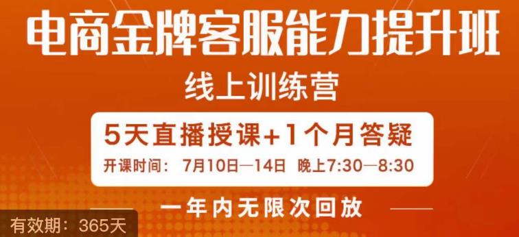 电商金牌客服能力提升班，提升客服能力是你店铺业绩的关键要素-佛系网创