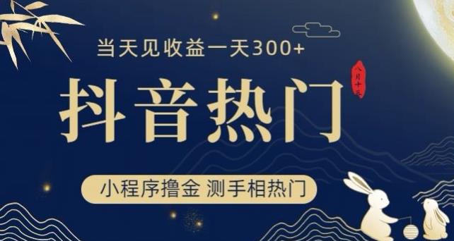 抖音最新小程序撸金，测手相上热门，当天见收益一小时变现300+【揭秘】-佛系网创