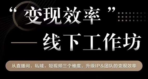 变现效率线下工作坊，从?播直?间、私域、?视短?频?个三?维度，升级IP和团队变现效率-佛系网创