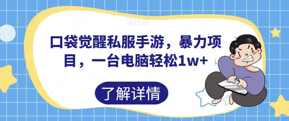 口袋觉醒私服手游，暴力项目，一台电脑轻松1w+【揭秘】-佛系网创