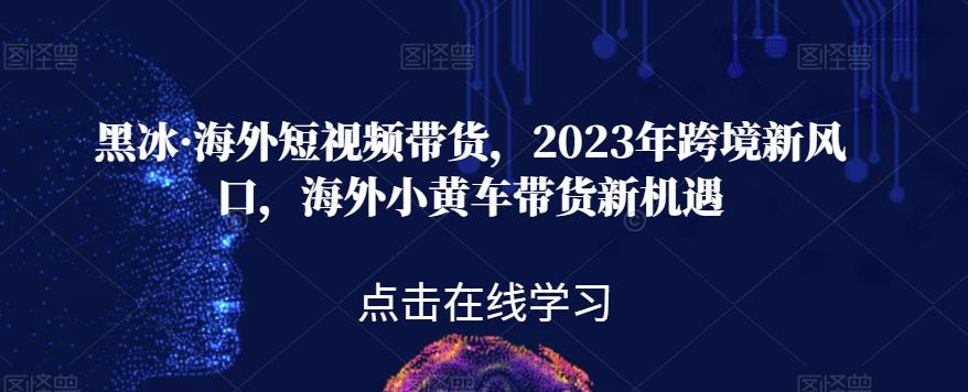 黑冰·海外短视频带货，2023年跨境新风口，海外小黄车带货新机遇-佛系网创