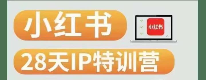 28天小红书博主IP特训营（第3期）实战经验，快速涨粉，迅速变现-佛系网创