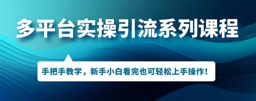 多平台引流实操系列课程，新手小白看完也可轻松上手进行引流操作-佛系网创