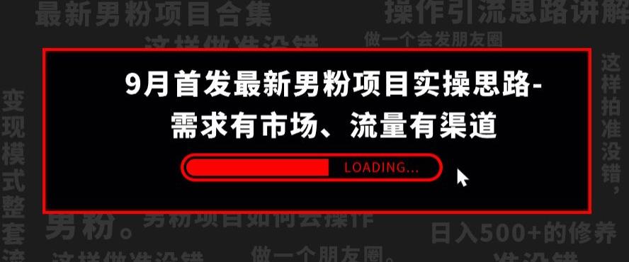 9月首发最新男粉项目实操思路-需求有市场，流量有渠道【揭秘】-佛系网创