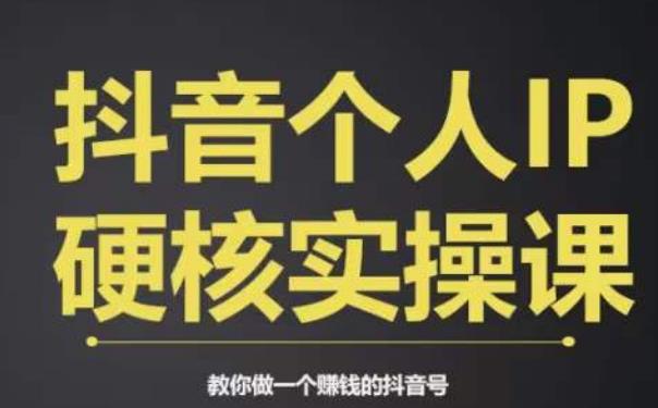 个人IP创富系统实战课，商业定位，流量打造，短视频变现，教你做个赚钱的抖音号-佛系网创