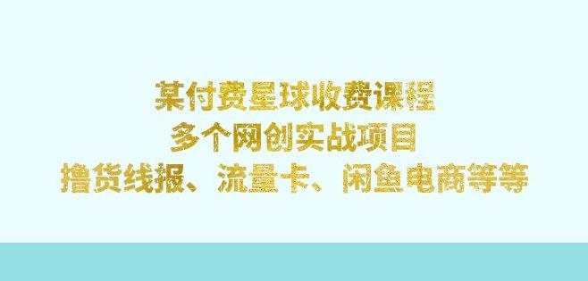 某付费星球课程：多个网创实战项目，撸货线报、流量卡、闲鱼电商等（文档非视频）-佛系网创
