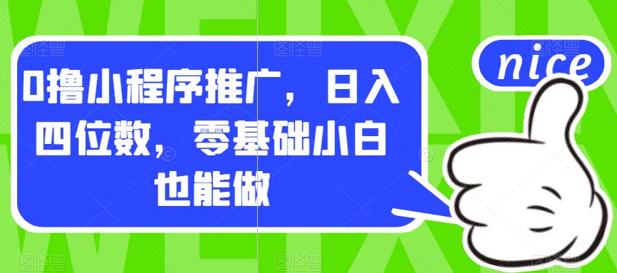 0撸小程序推广，日入四位数，零基础小白也能做【揭秘】-佛系网创