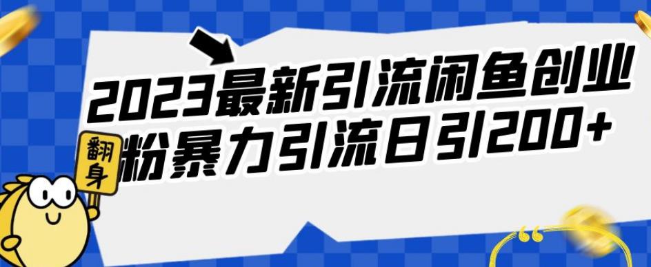 2023最新引流闲鱼创业粉暴力引流日引200+【揭秘】-佛系网创