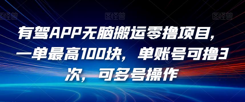有驾APP无脑搬运零撸项目，一单最高100块，单账号可撸3次，可多号操作【揭秘】-佛系网创