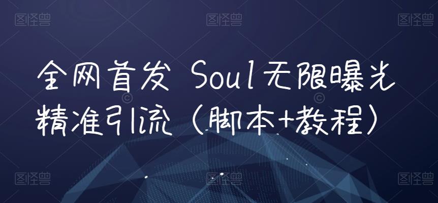全网首发 Soul无限曝光精准引流（脚本+教程）-佛系网创