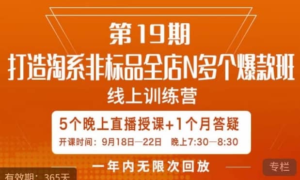 打造淘系非标全店N多个爆款线上课，?5天直播课-佛系网创