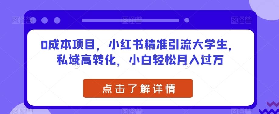 0成本项目，小红书精准引流大学生，私域高转化，小白轻松月入过万【揭秘】-佛系网创