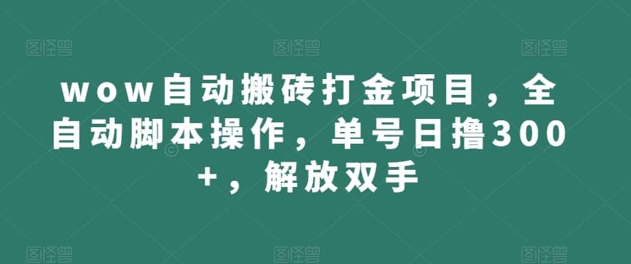 wow自动搬砖打金项目，全自动脚本操作，单号日撸300+，解放双手【揭秘】-佛系网创